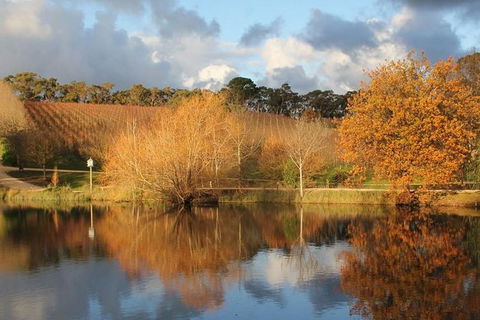 Small-Group Fleurieu Peninsula Food And Wine Experience By 4WD Including 3-Course Lunch - New Castle Holiday 0