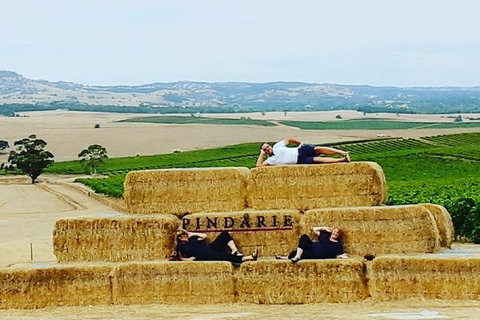 Barossa Wine Tasting Shared Tours - New Castle Holiday 6