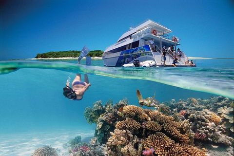3-Day Southern Great Barrier Reef Tour Including Lady Musgrave Island - New Castle Holiday 0