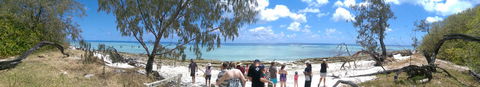 3-Day Southern Great Barrier Reef Tour Including Lady Musgrave Island - New Castle Holiday 3