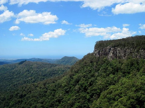 Springbrook National Park Discovery Full-Day Bushwalking Tour - New Castle Holiday 10