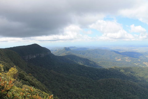 Springbrook National Park Discovery Full-Day Bushwalking Tour - New Castle Holiday 3