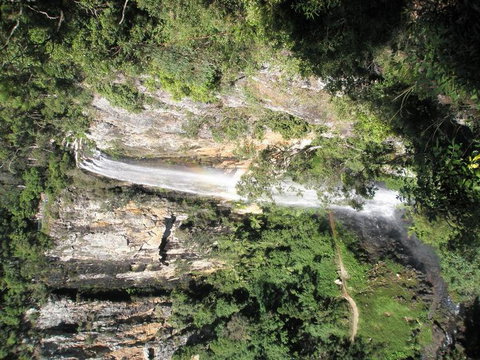 Springbrook National Park Discovery Full-Day Bushwalking Tour - New Castle Holiday 23