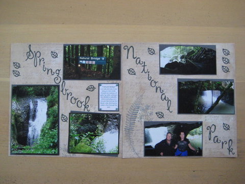 Springbrook National Park Discovery Full-Day Bushwalking Tour - New Castle Holiday 19