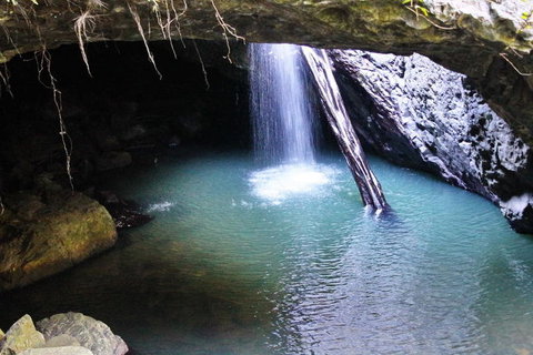 Springbrook National Park Discovery Full-Day Bushwalking Tour - New Castle Holiday 6