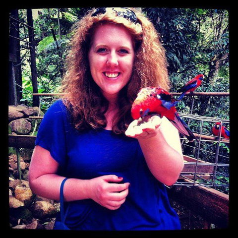 Springbrook National Park Discovery Full-Day Bushwalking Tour - New Castle Holiday 8