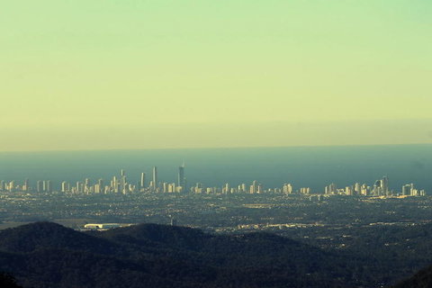 Springbrook National Park Discovery Full-Day Bushwalking Tour - New Castle Holiday 4