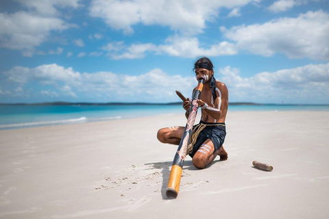 Great Sandy Marine Park Turtle Discovery And Cultural Eco Tour - New Castle Holiday 1