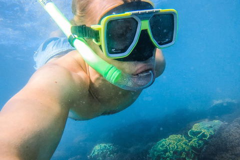 Great Sandy Marine Park Turtle Discovery And Cultural Eco Tour - New Castle Holiday 2