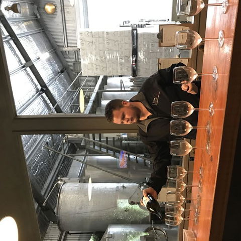 Mount Tamborine Wine Tasting Tour From Brisbane Or The Gold Coast - New Castle Holiday 2