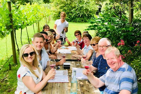 Mount Tamborine Wine Tasting Tour From Brisbane Or The Gold Coast - New Castle Holiday 4