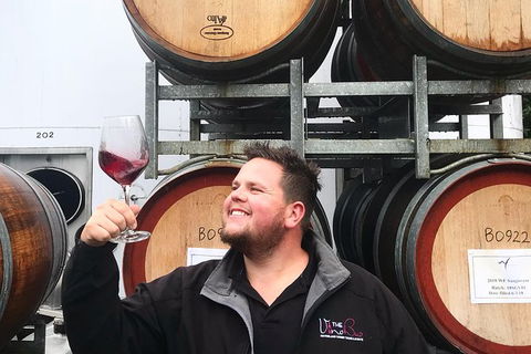 Mount Tamborine Wine Tasting Tour From Brisbane Or The Gold Coast - New Castle Holiday 8