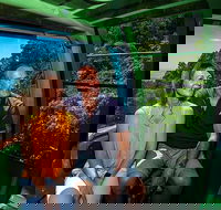 Skyrail Rainforest Cableway Day Trip from Palm Cove - New Castle Holiday