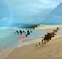 Rainbow Beach Horse Ride - New Castle Holiday