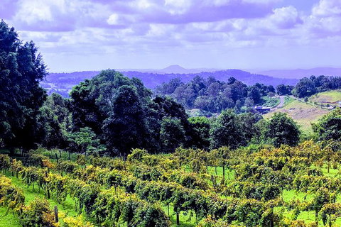 Queensland Food Tour: Farm-to-Table Indulgence - New Castle Holiday 6