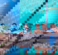 Reef HQ Great Barrier Reef Aquarium General Entry Ticket - New Castle Holiday