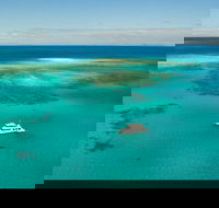 Great Barrier Reef Dive and Snorkel Cruise from Mission Beach - New Castle Holiday