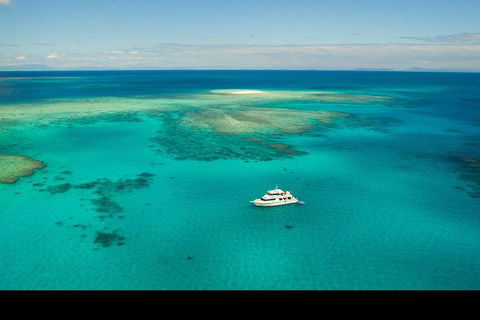 Great Barrier Reef Dive And Snorkel Cruise From Mission Beach - New Castle Holiday 2