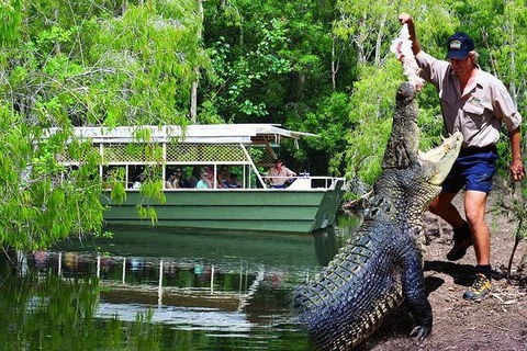 Crocs, Creatures And Culture Ex Northern Beaches - New Castle Holiday 1