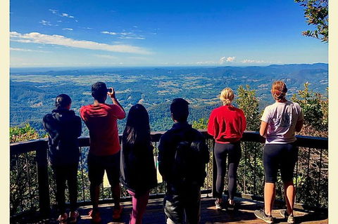 Springbrook Full Day Tour - New Castle Holiday 0