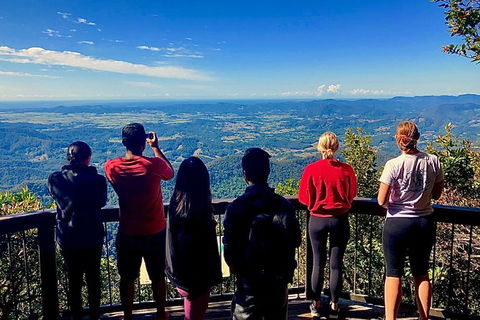 Springbrook Full Day Tour - New Castle Holiday 2