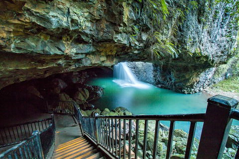 Springbrook Full Day Tour - New Castle Holiday 12