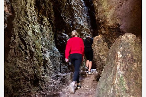 Springbrook Full Day Tour - New Castle Holiday 7