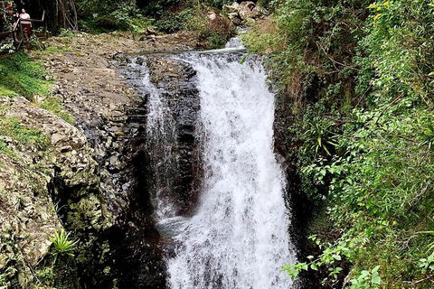 Springbrook Full Day Tour - New Castle Holiday 4