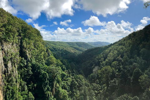 Springbrook Full Day Tour - New Castle Holiday 3