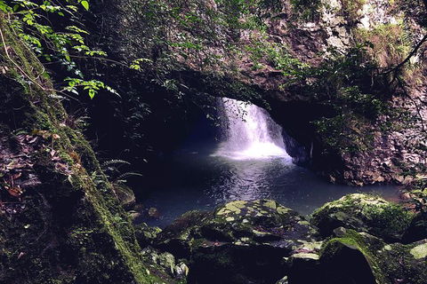 Springbrook Full Day Tour - New Castle Holiday 16