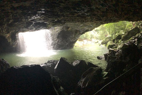 Springbrook Full Day Tour - New Castle Holiday 9