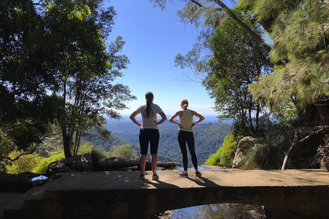 Springbrook Full Day Tour - New Castle Holiday 15