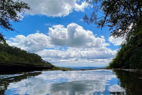 Springbrook Full Day Tour - New Castle Holiday 6