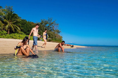 Half Day Low Isles Snorkelling Tour From Port Douglas - New Castle Holiday 0