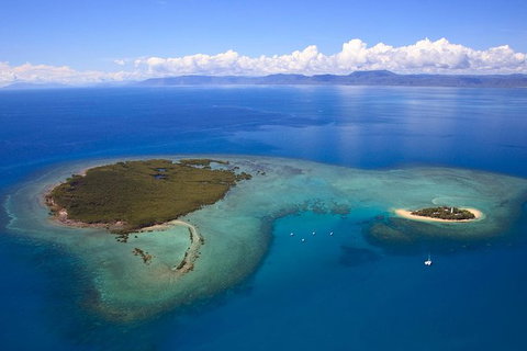 Half Day Low Isles Snorkelling Tour From Port Douglas - New Castle Holiday 4