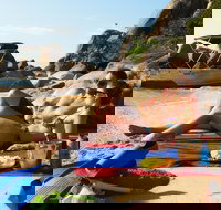 Orpheus Island Day Trip by Helicopter from Townsville - New Castle Holiday