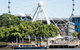 Brisbane River Cruise Morning - thumb 0