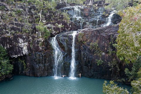Whitsundays Tropical Rainforest, Waterfalls And Airlie Beach Eco Experience - New Castle Holiday 0