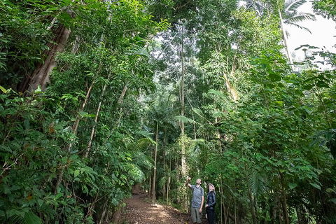 Whitsundays Tropical Rainforest, Waterfalls And Airlie Beach Eco Experience - New Castle Holiday 1