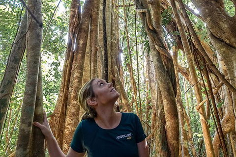 Whitsundays Tropical Rainforest, Waterfalls And Airlie Beach Eco Experience - New Castle Holiday 14