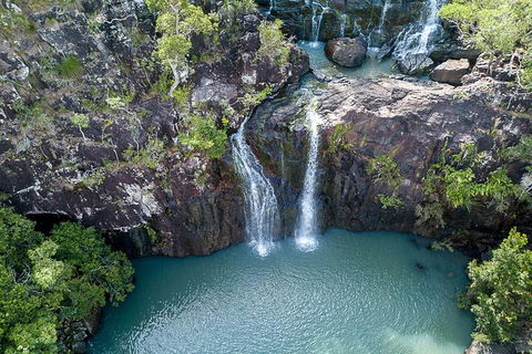 Whitsundays Tropical Rainforest, Waterfalls And Airlie Beach Eco Experience - New Castle Holiday 13