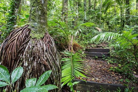 Whitsundays Tropical Rainforest, Waterfalls And Airlie Beach Eco Experience - New Castle Holiday 7