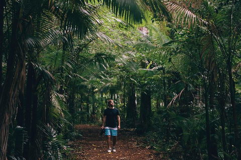 Whitsundays Tropical Rainforest, Waterfalls And Airlie Beach Eco Experience - New Castle Holiday 5