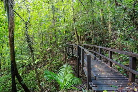 Whitsundays Tropical Rainforest, Waterfalls And Airlie Beach Eco Experience - New Castle Holiday 3