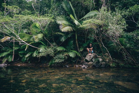 Whitsundays Tropical Rainforest, Waterfalls And Airlie Beach Eco Experience - New Castle Holiday 2