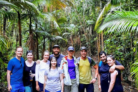 Whitsundays Tropical Rainforest, Waterfalls And Airlie Beach Eco Experience - New Castle Holiday 15