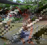 Hartley's Crocodile Adventures Day Trip from Cairns - New Castle Holiday
