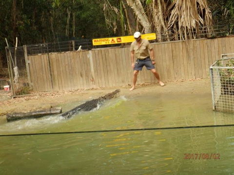 Hartley's Crocodile Adventures Day Trip From Cairns - New Castle Holiday 8
