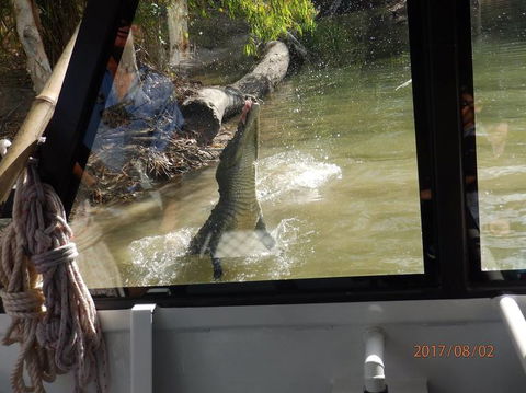 Hartley's Crocodile Adventures Day Trip From Cairns - New Castle Holiday 5