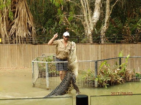 Hartley's Crocodile Adventures Day Trip From Cairns - New Castle Holiday 2